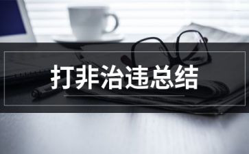 打非治违专项行动工作总结7篇