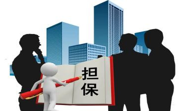 纳税担保合同6篇