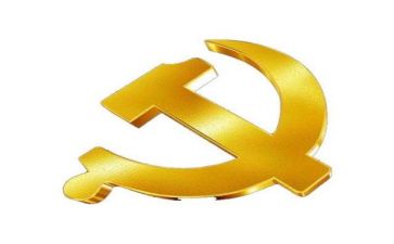 2023年党支部年终总结报告5篇
