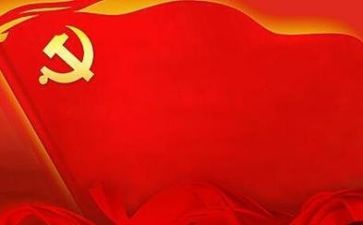 党会心得体会300字优质7篇