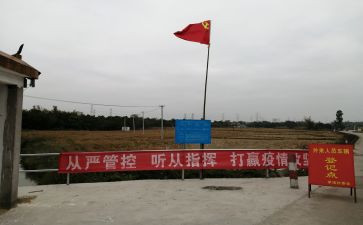 2023年党员半年心得体会5篇
