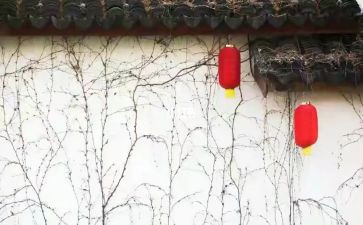 镇办人大年度工作总结7篇