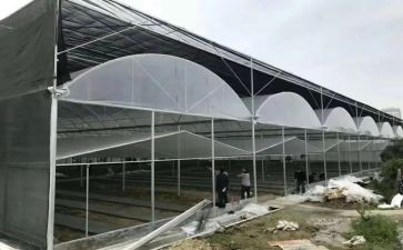大棚工作总结6篇