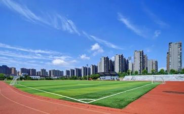大学军训七天心得体会5篇