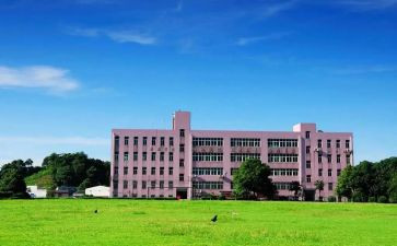 上大专的自我鉴定通用5篇