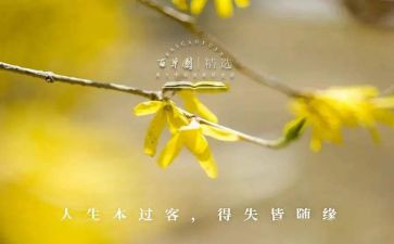 得与失调查报告精选8篇