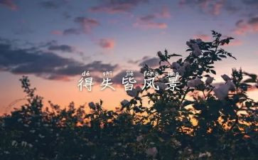 装修的得与失总结报告7篇