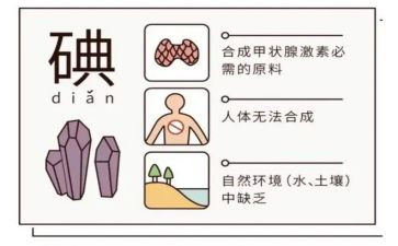 碘缺乏的活动总结8篇