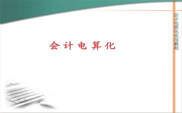 电算化工作总结5篇