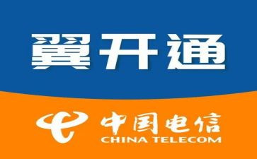 电信年终工作总结6篇