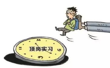 会计顶岗心得体会最新8篇