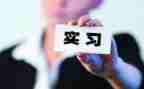 顶岗实习心得体会300字8篇