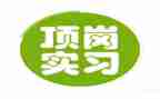 顶岗个人总结范文7篇