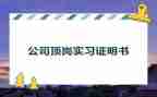 顶岗实习总结及心得体会7篇