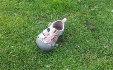 丢失的爱作文8篇