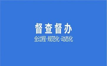 督查科工作总结参考5篇