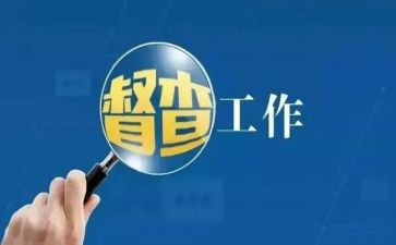 督查个人总结5篇