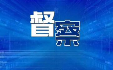 督查科工作总结8篇
