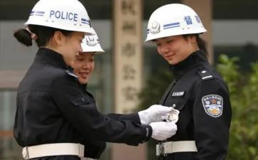 督察科工作总结7篇
