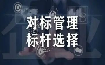 小学对标对表活动总结参考5篇