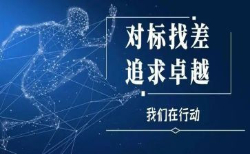 三对标政治对标心得体会最新8篇