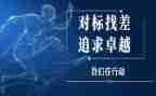 行政执法对标调研报告5篇