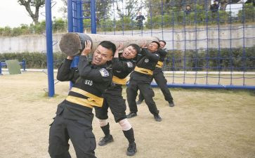 学习队伍警示教育心得体会7篇