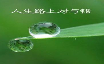 幼儿园对与错教案模板8篇