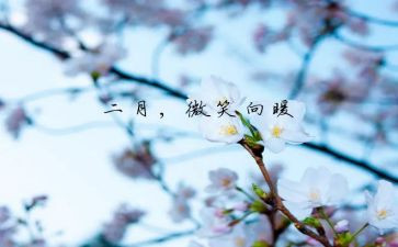 幼儿园教师二月工作总结6篇