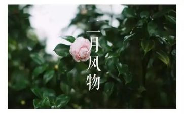 第二月总结通用7篇