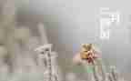 大班二月工作总结7篇