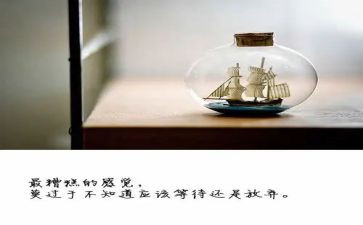 绽放的梦想演讲稿5篇