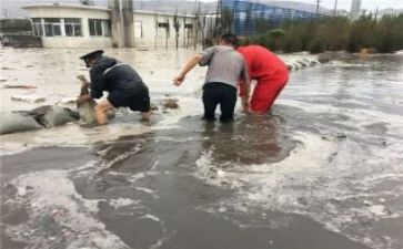 防汛工作讲话稿5篇