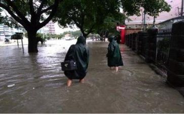 防汛办防汛工作总结报告7篇