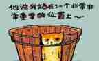 保育工作总结与反思5篇