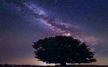 读《繁星》后感作文通用6篇