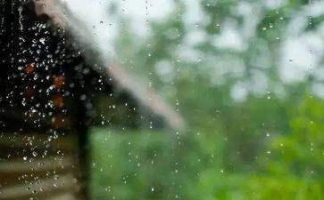《风雨之后》作文8篇