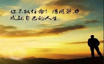 分镜设计心得体会模板7篇