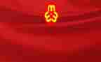 2024社区妇联工作总结5篇