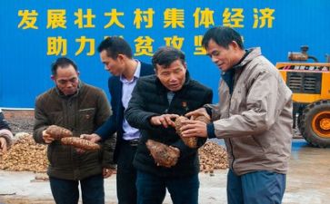 扶贫心得体会个人5篇