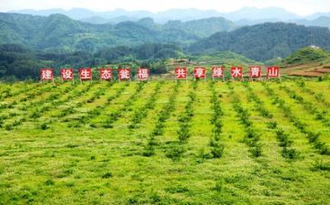 扶贫调查报告5篇
