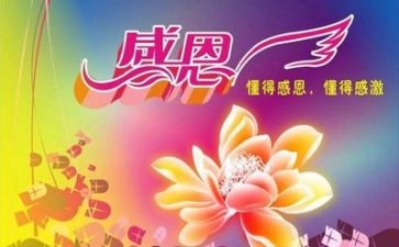 感恩老师的作文优质6篇