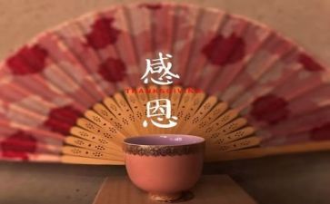 感恩节的心得体会优质5篇