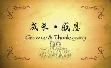 查感恩教师的作文模板7篇