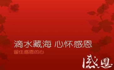 我有一颗感恩的心的作文8篇