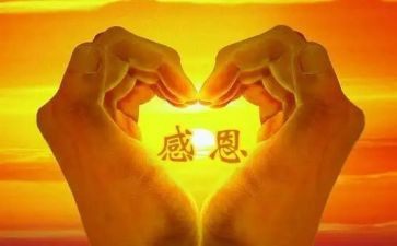 感恩老师心得体会500字7篇