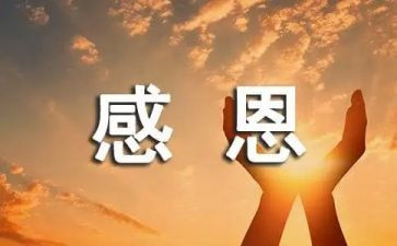 感恩作文800字精选6篇
