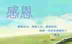 写感恩的演讲稿600字7篇