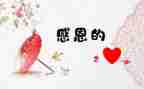感激老师的作文600字作文8篇