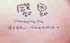 我感激你作文500字7篇